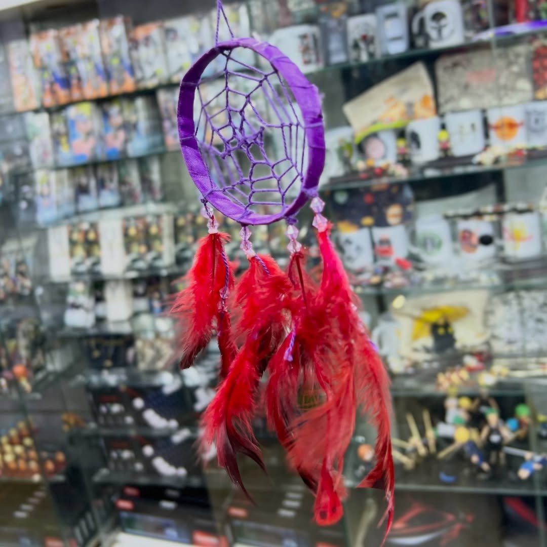 Dreamcatcher - alternate view