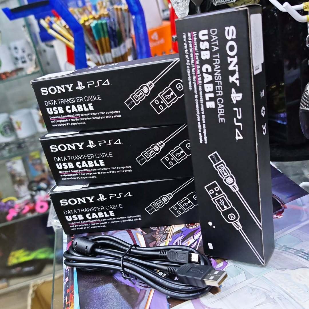 PS4 Controller Cable - alternate view