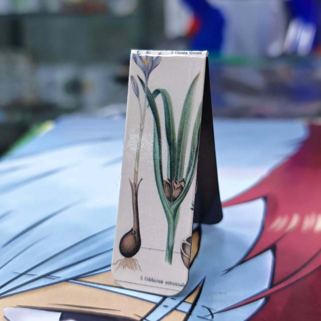 Magnetic Bookmark - Bookmark